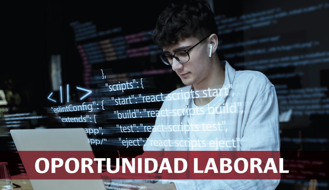 Docente de Desarrollo de Aplicaciones Web